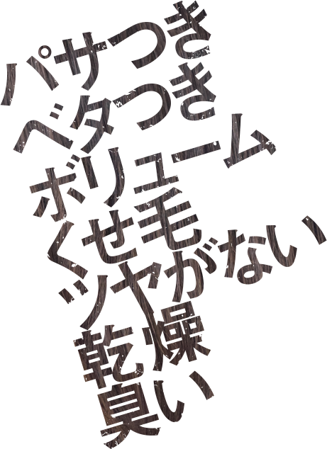 パサつきベタつきボリュームくせ毛ツヤがない乾燥臭い