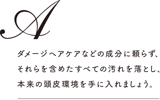 ダメージヘアケアなどの成分に頼らず、それらを含めたすべての汚れを落とし、本来の頭皮環境を手に入れましょう。